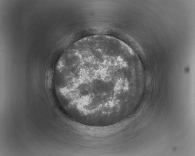 X0000116790026201001151111