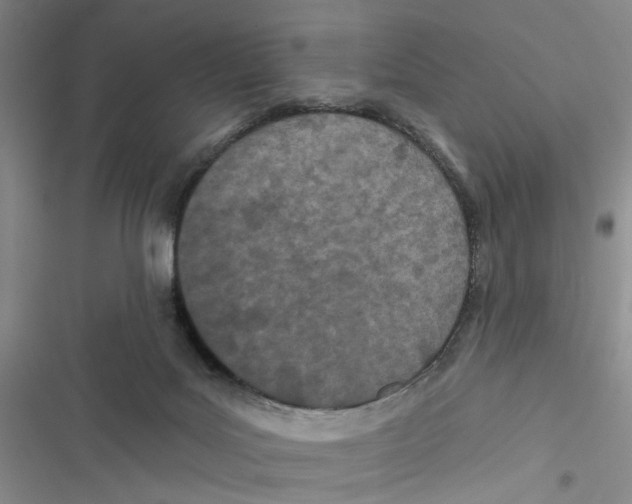X0000116790027201001151111