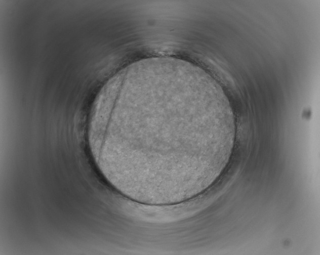 X0000116790030201001151111