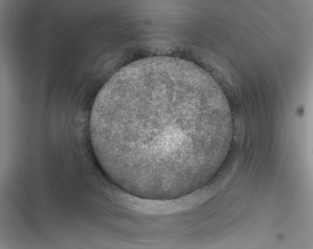 X0000116790034201001151111