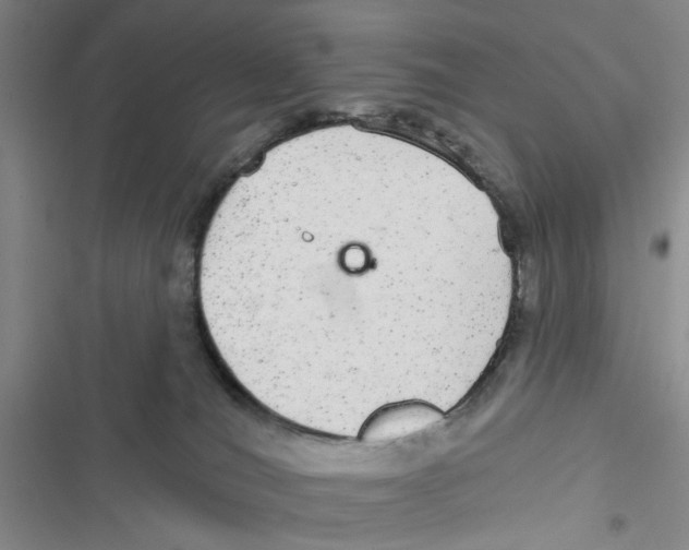 X0000116790036201001151111