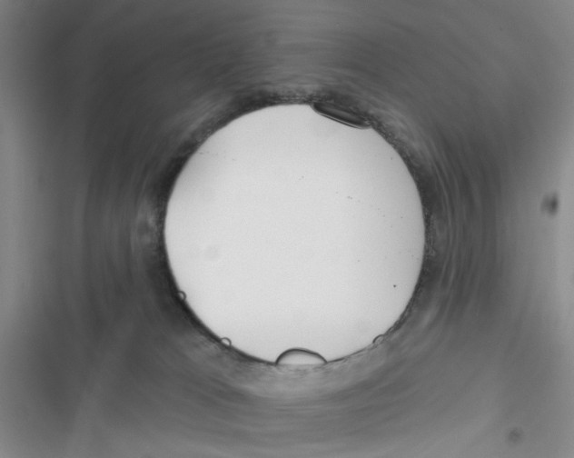 X0000116790037201001151111
