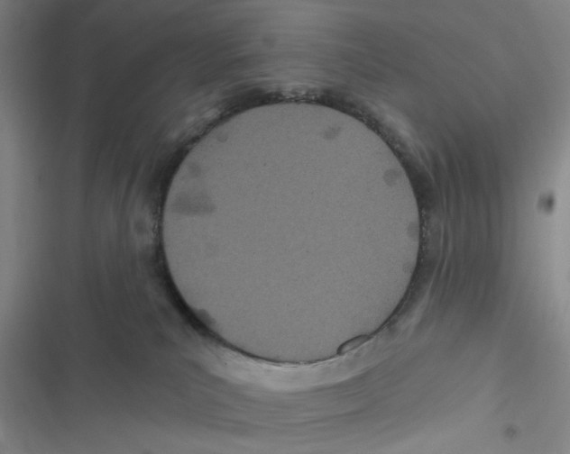 X0000116790039201001151111
