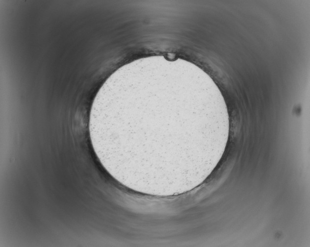 X0000116790040201001151111