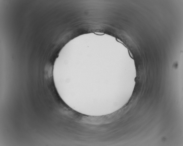 X0000116790041201001151111