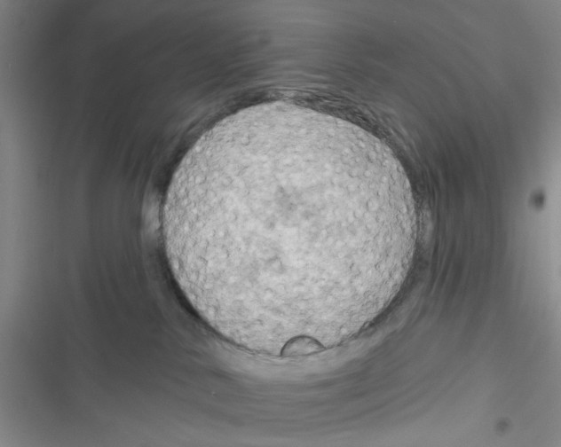 X0000116790042201001151111