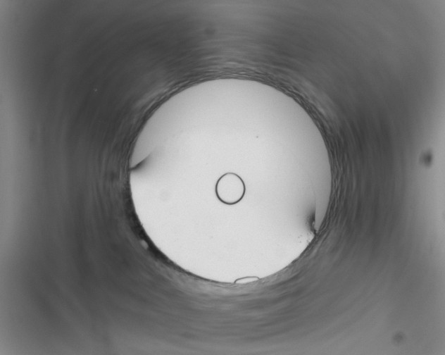 X0000116790043201001151111