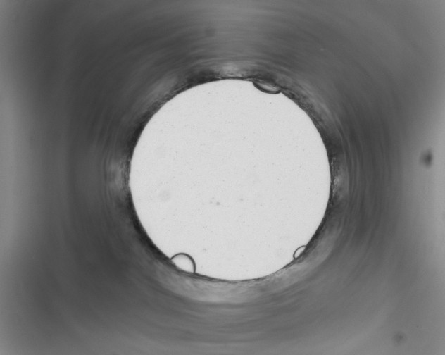 X0000116790044201001151111