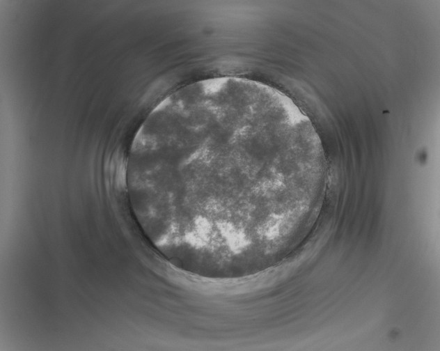 X0000116790046201001151111