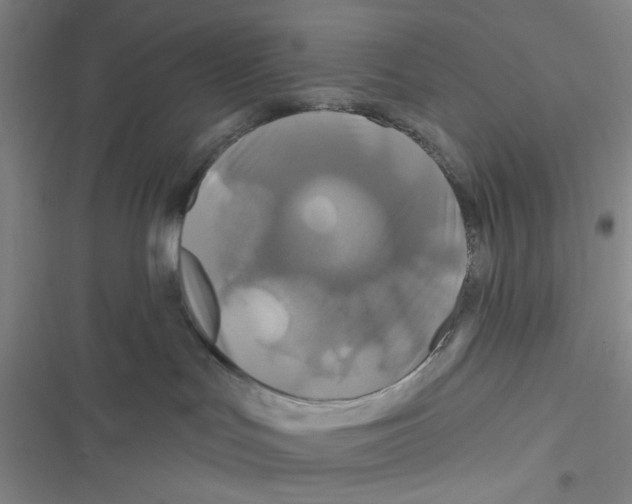 X0000116790047201001151111