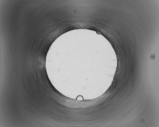 X0000116790048201001151111
