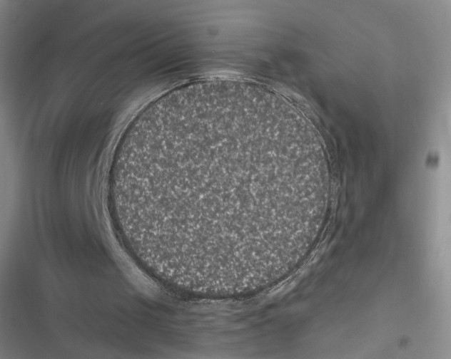 X0000116790049201001151110