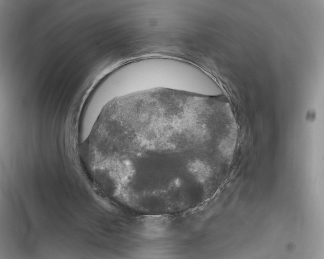 X0000116790050201001151110