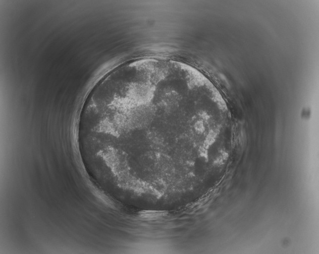 X0000116790051201001151110