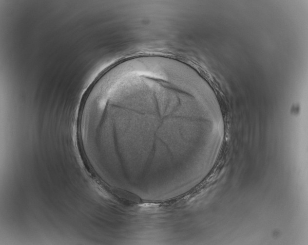 X0000116790052201001151110