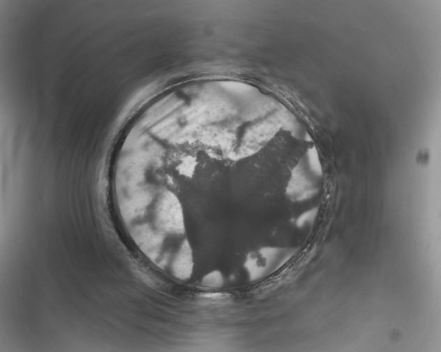 X0000116790053201001151110