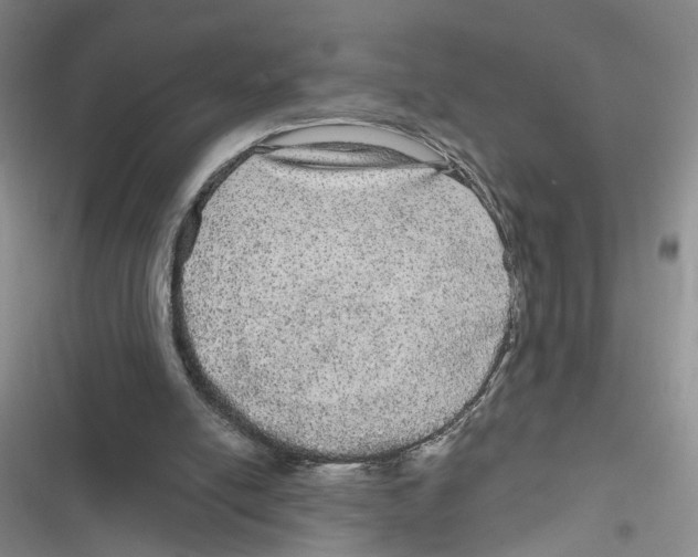 X0000116790054201001151110
