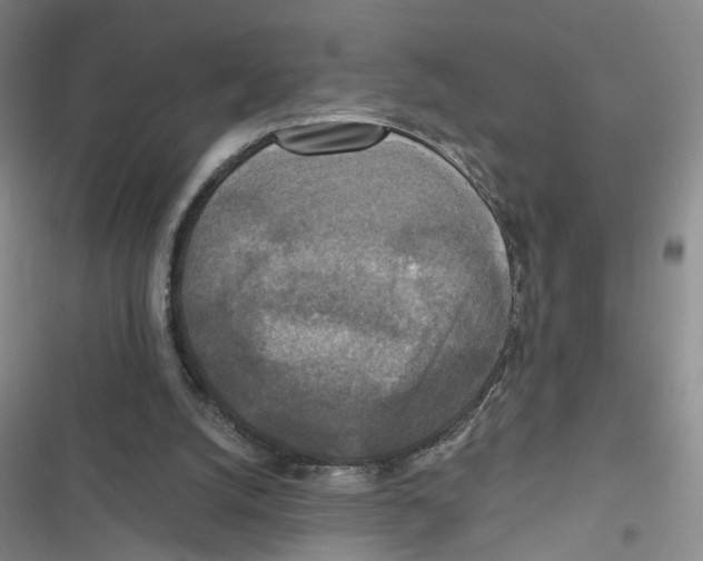 X0000116790056201001151110