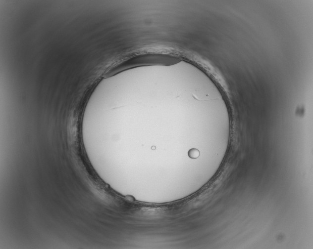 X0000116790057201001151110