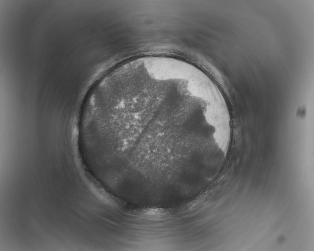 X0000116790059201001151110