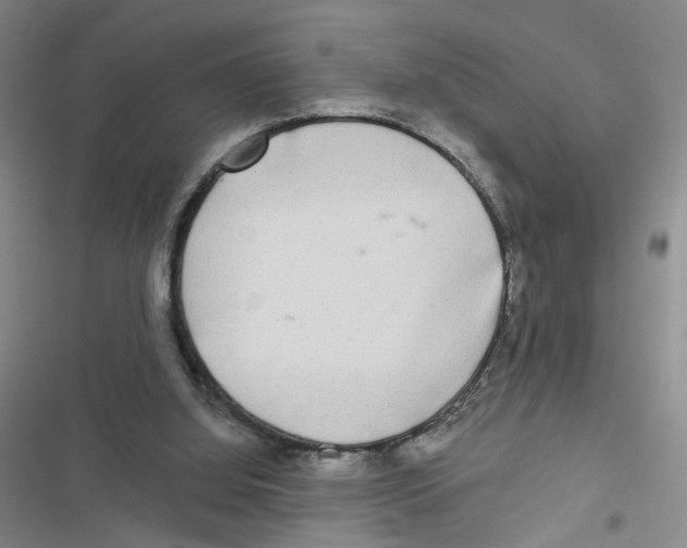 X0000116790060201001151110
