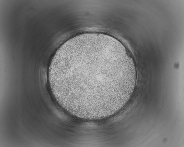 X0000116790061201001151110