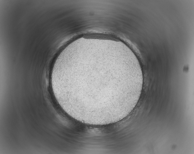 X0000116790062201001151110