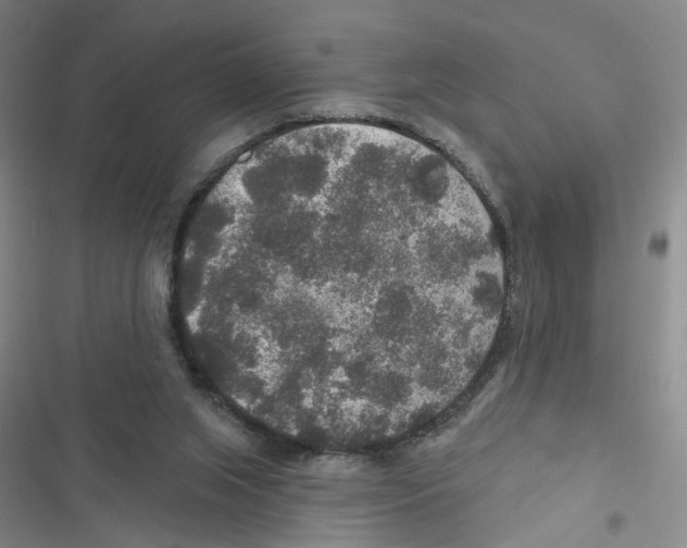 X0000116790063201001151110