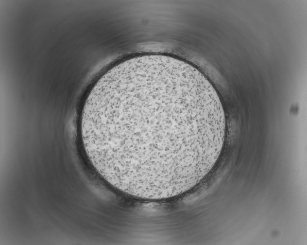 X0000116790064201001151110