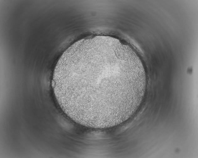 X0000116790065201001151110