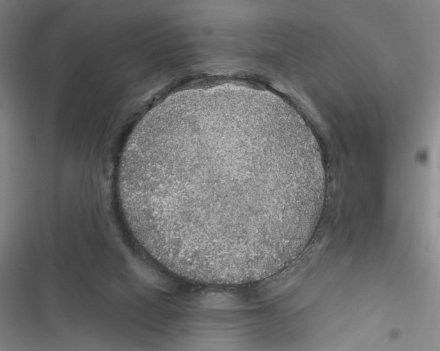 X0000116790066201001151110
