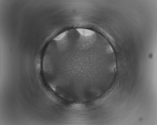 X0000116790067201001151110