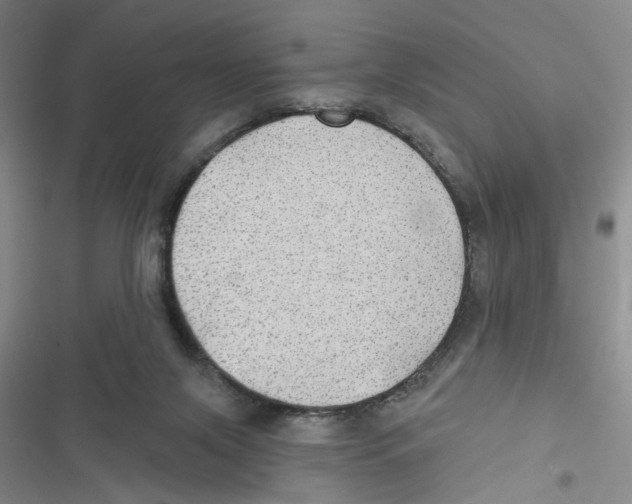 X0000116790071201001151110