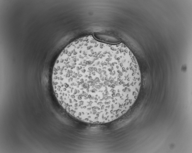X0000116790072201001151110