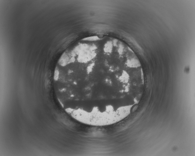 X0000116790073201001151110