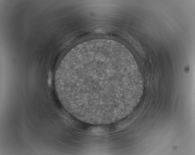 X0000116790075201001151110