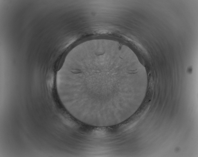 X0000116790076201001151110