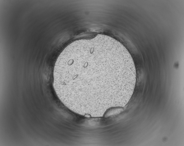 X0000116790078201001151110