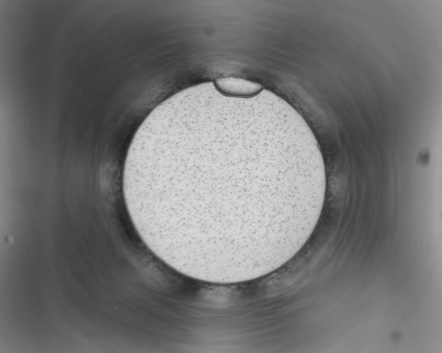 X0000116790079201001151110