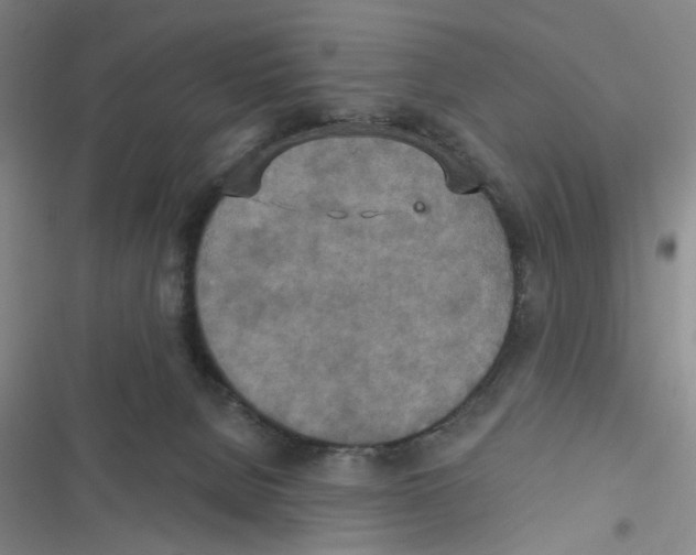 X0000116790080201001151110