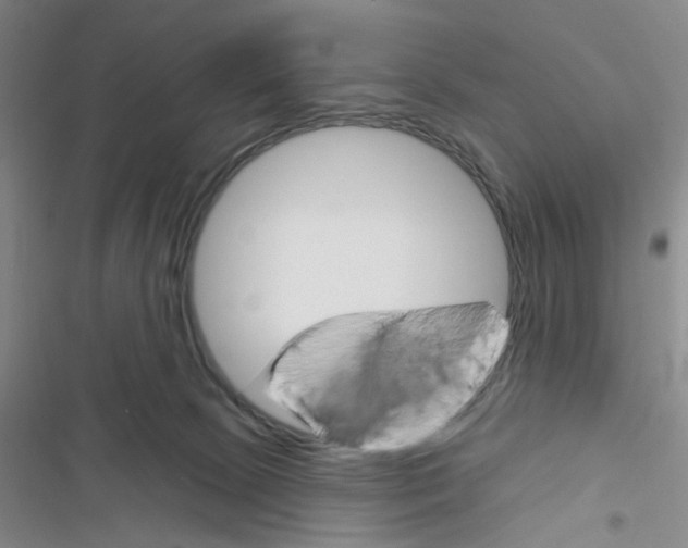 X0000116790081201001151110