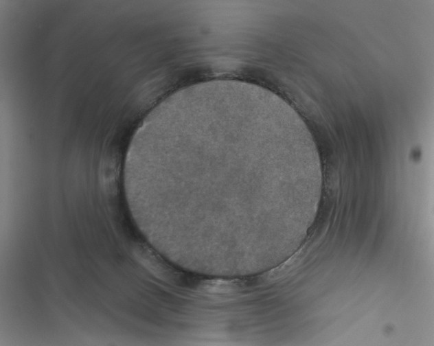 X0000116790082201001151110