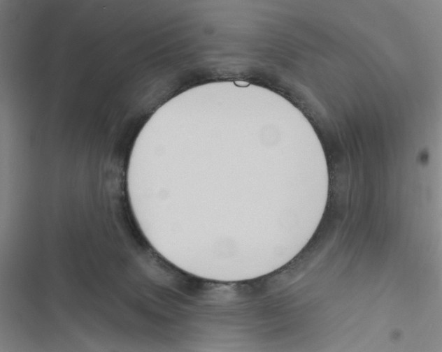X0000116790083201001151110