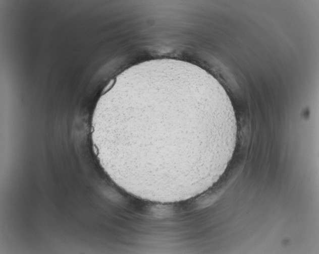 X0000116790085201001151110