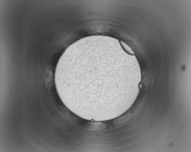 X0000116790087201001151110