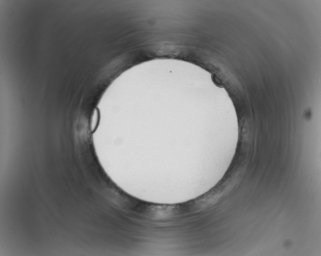 X0000116790089201001151110