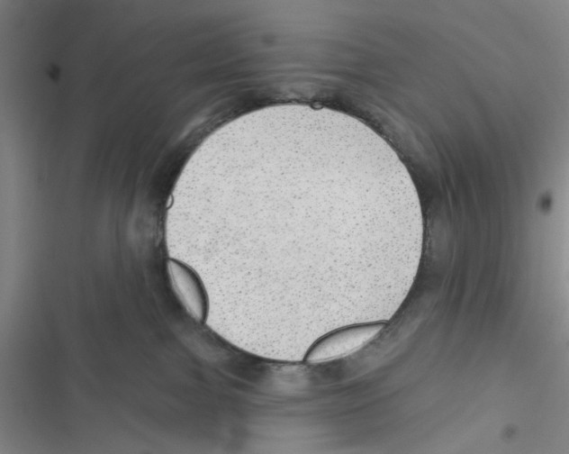 X0000116790091201001151110