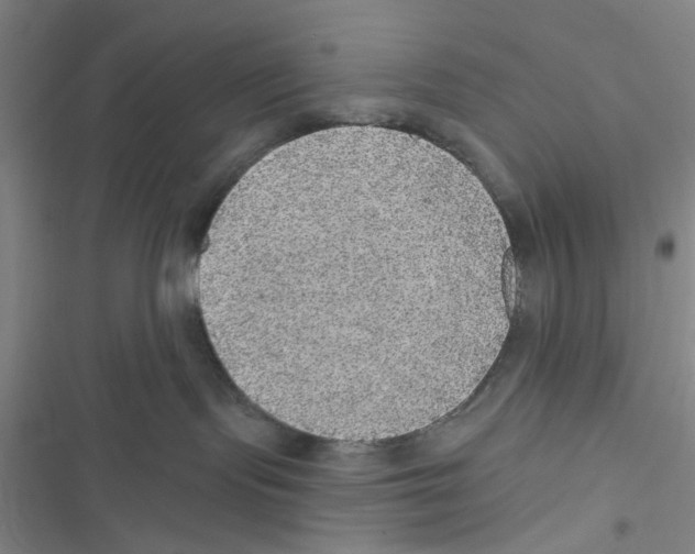 X0000116790095201001151110