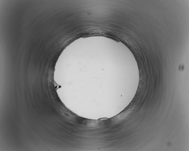 X0000116790096201001151111