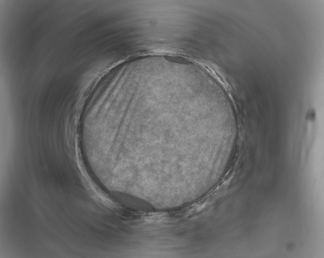 X0000116790097201001151110